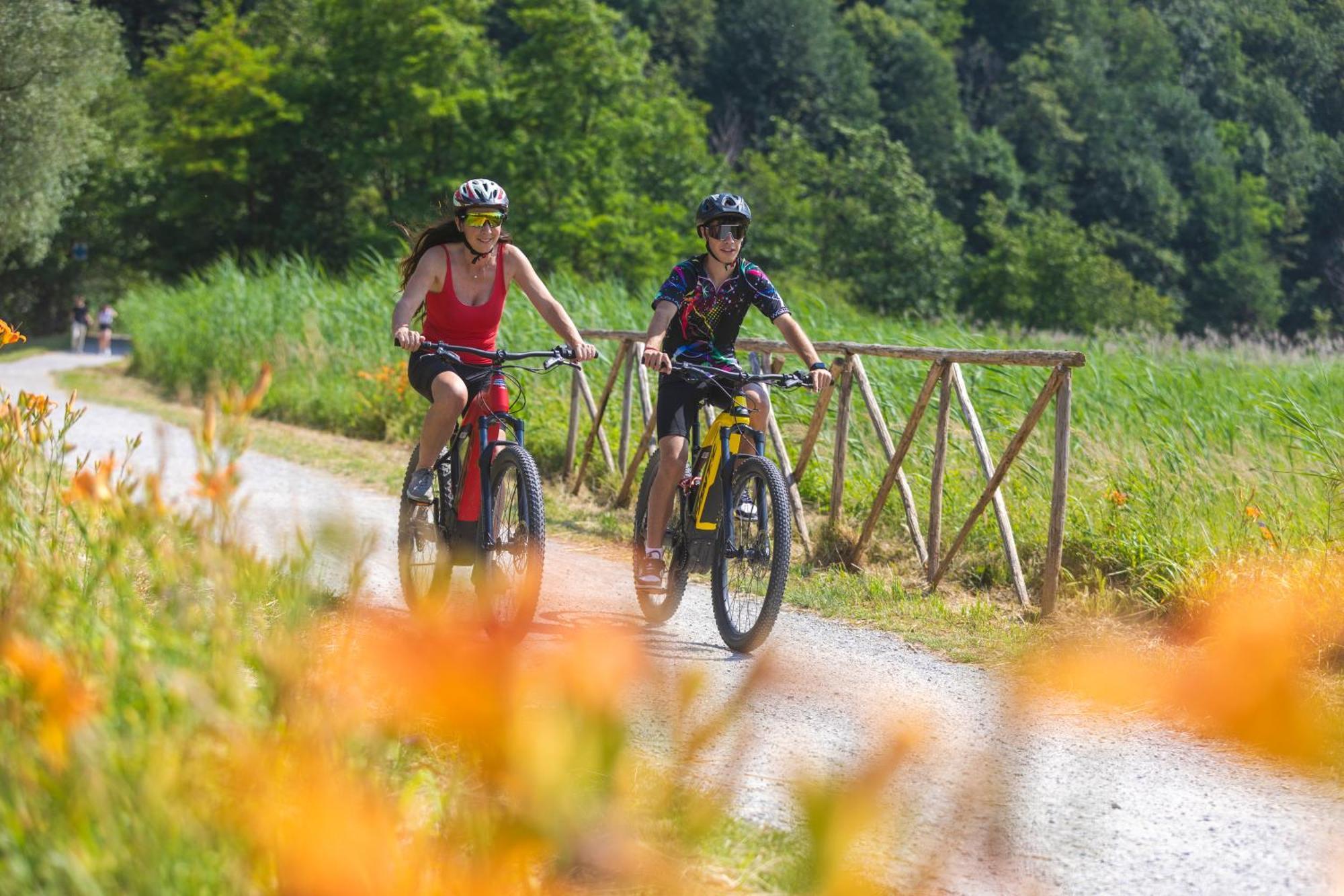 Villa Iris -Pet Friendly Stay - Garden - Private Parking- Bike Friendly Holiday House Colico Exteriör bild